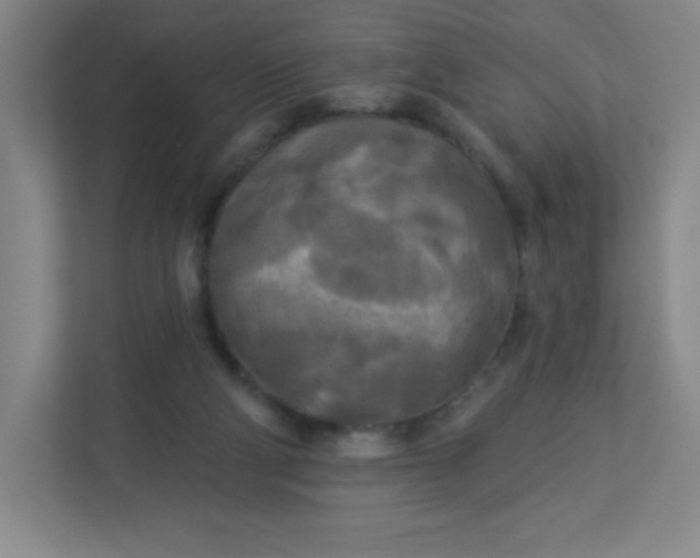 X0000113300114200909281112