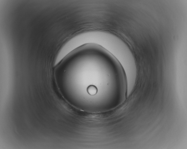 X0000113300117200909281112