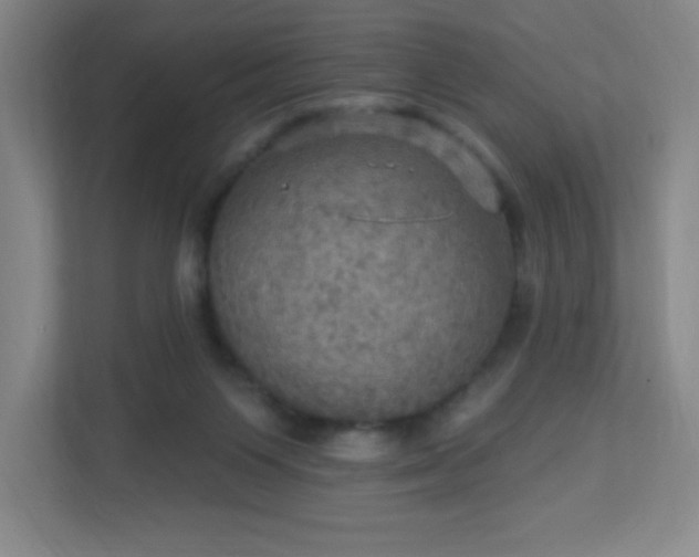 X0000113300119200909281112