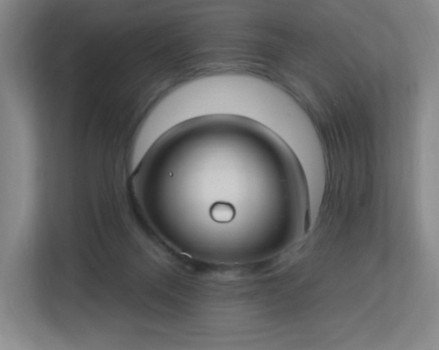 X0000113300120200909281112