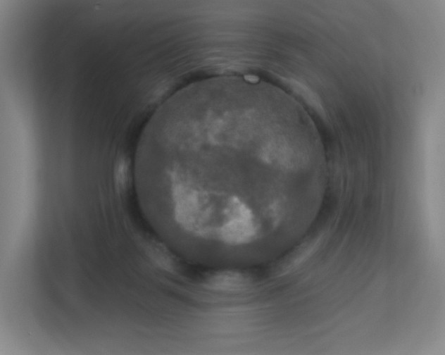 X0000113300123200909281112