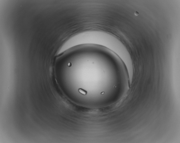 X0000113300124200909281112