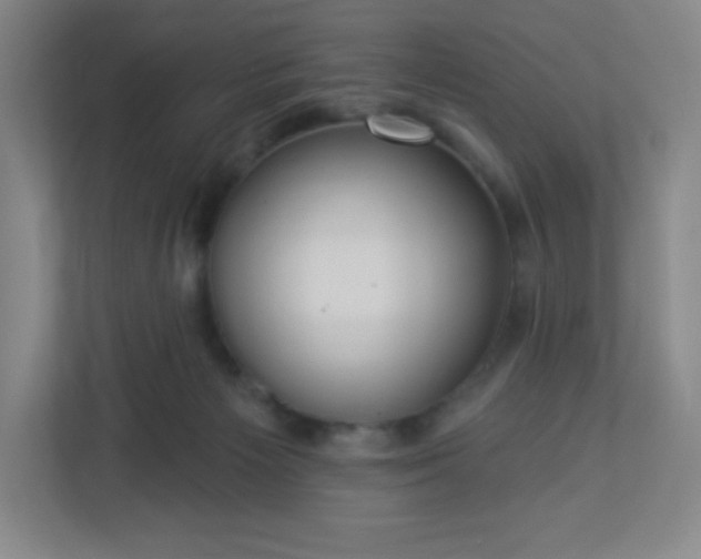 X0000113300125200909281112