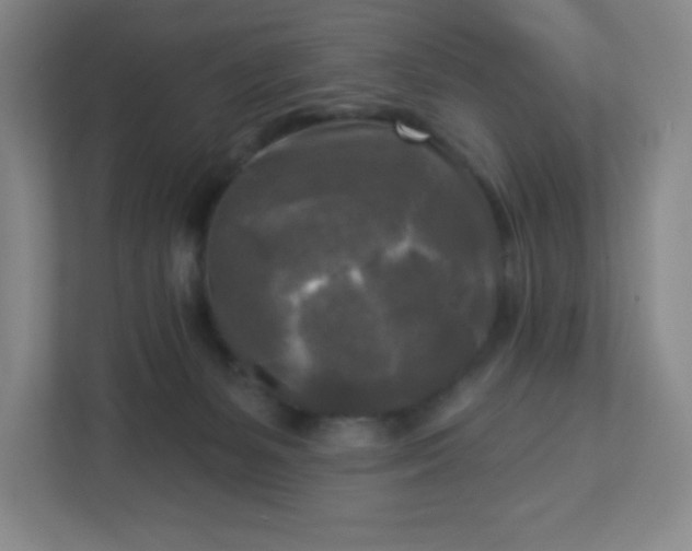 X0000113300127200909281112