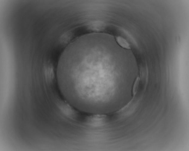 X0000113300128200909281112