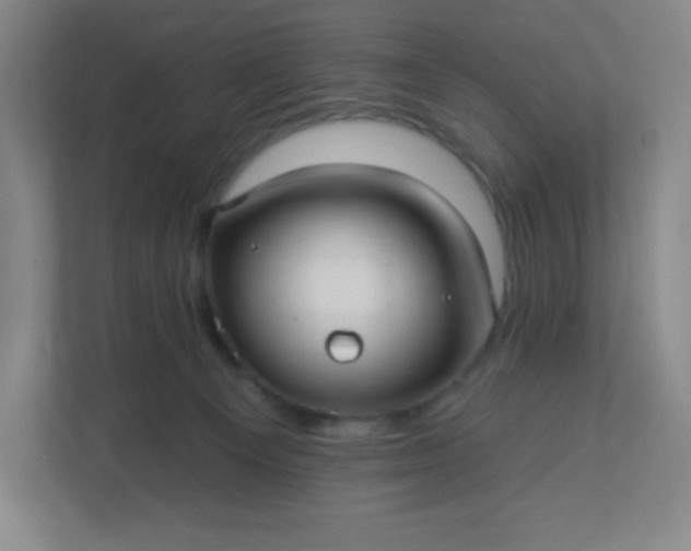 X0000113300129200909281112