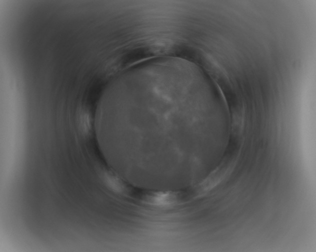 X0000113300130200909281112