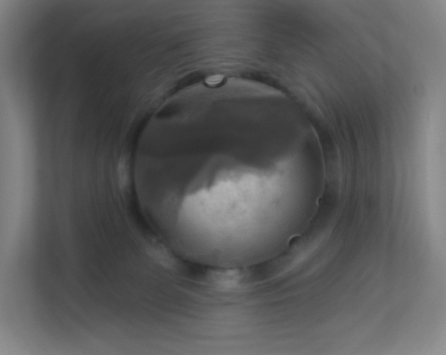 X0000113300131200909281112