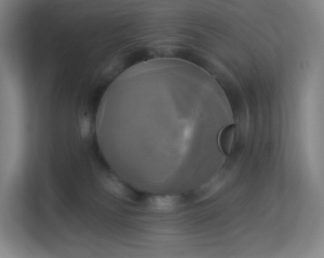 X0000113300134200909281112