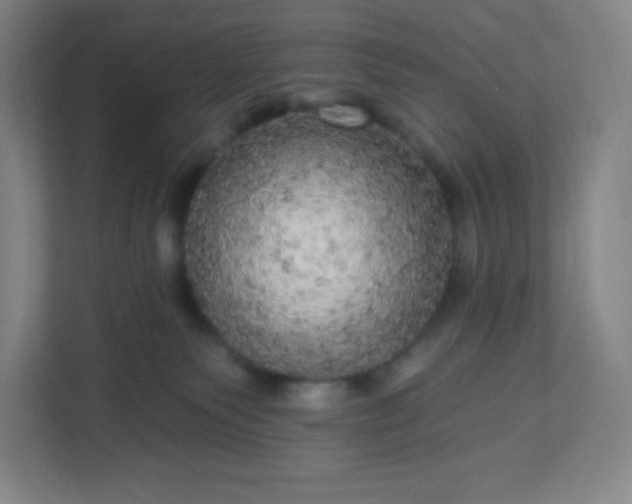 X0000113300135200909281112