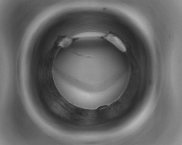 X0000113300143200909281112