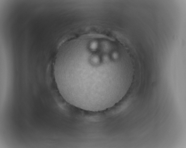 X0000113300144200909281112