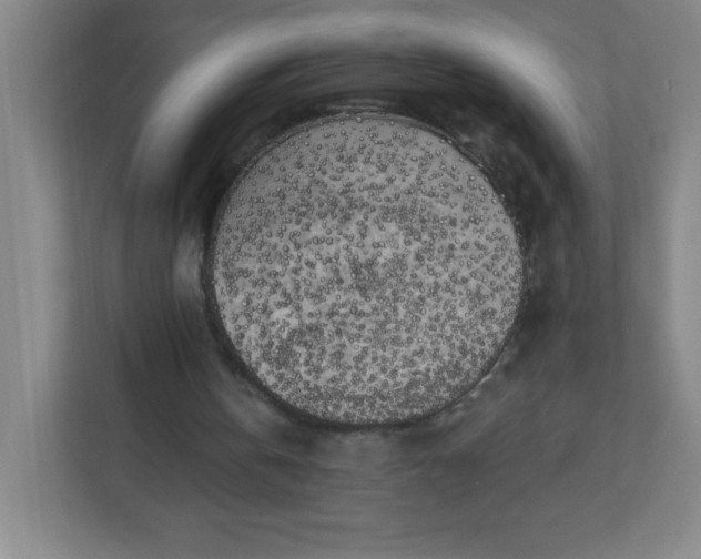 X0000113300146200909281111