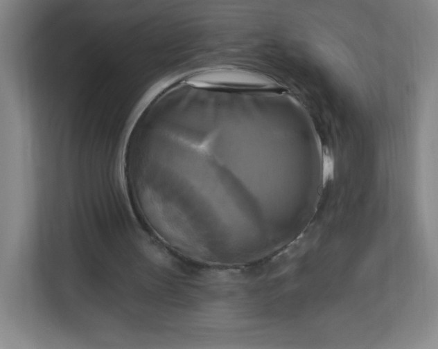 X0000113300147200909281111