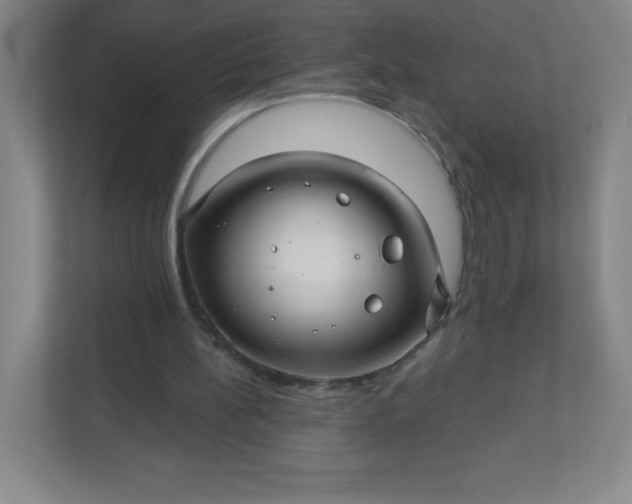 X0000113300148200909281111