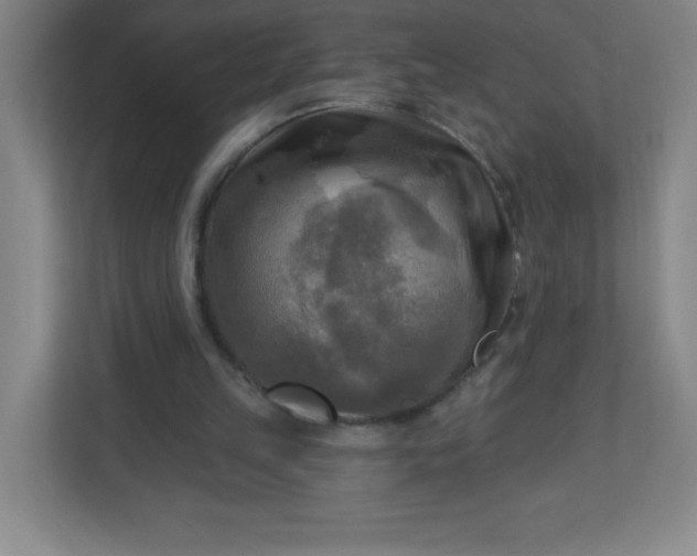 X0000113300149200909281111