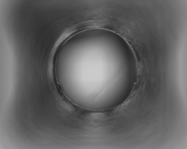 X0000113300150200909281111