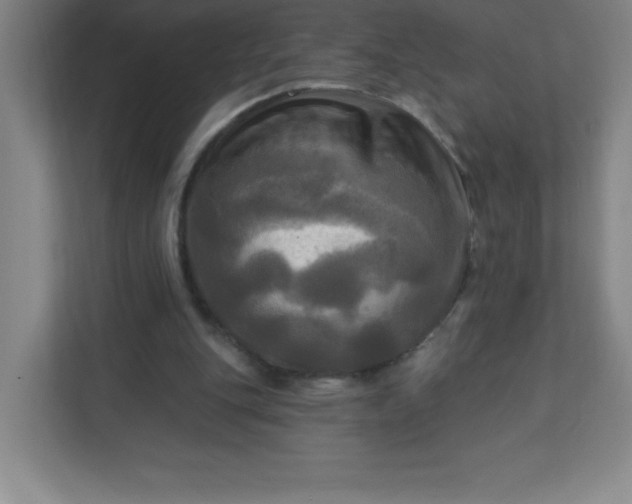 X0000113300151200909281111