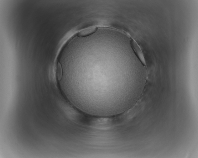 X0000113300152200909281111