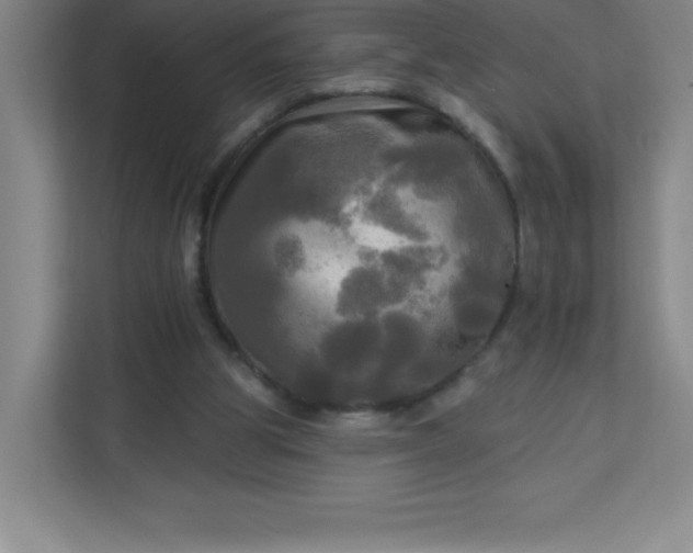 X0000113300153200909281111