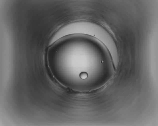 X0000113300154200909281111