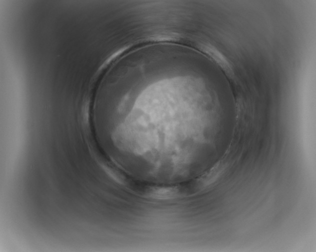 X0000113300155200909281111