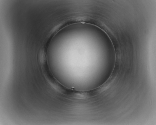 X0000113300164200909281111