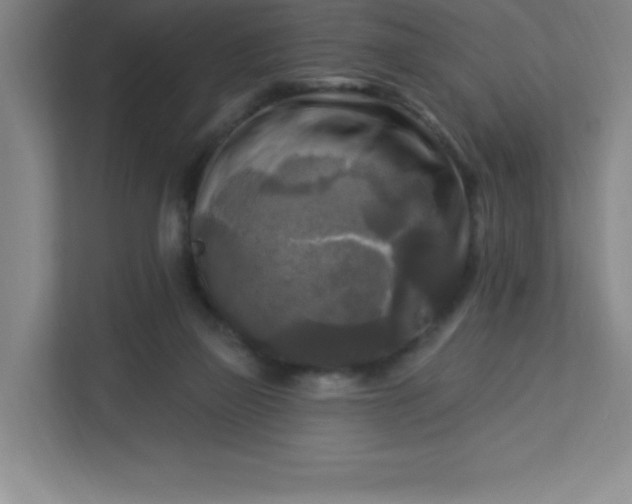 X0000113300165200909281111