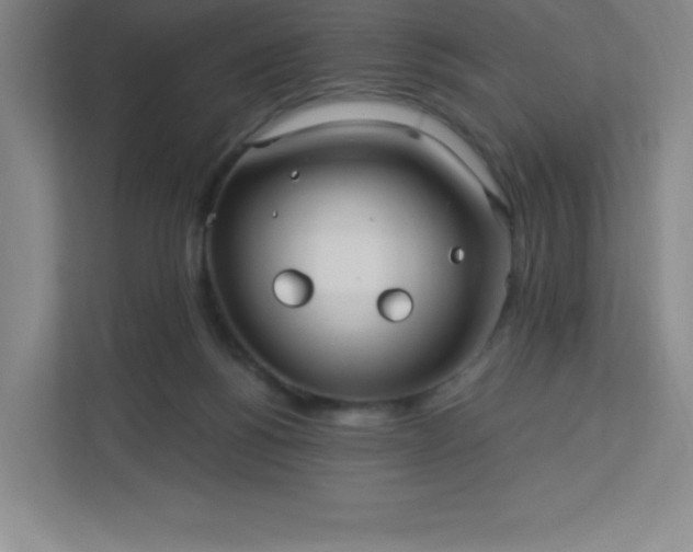 X0000113300168200909281111