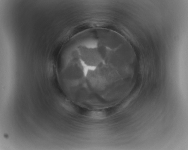 X0000113300169200909281111