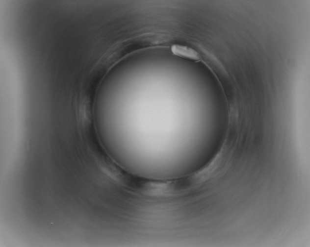 X0000113300170200909281111