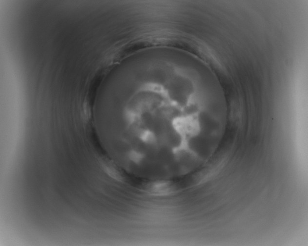 X0000113300173200909281112