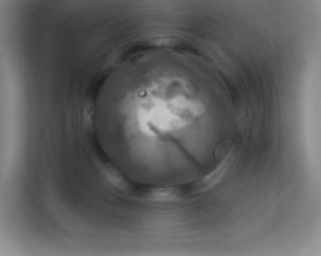 X0000113300175200909281112