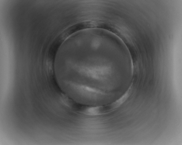 X0000113300178200909281112