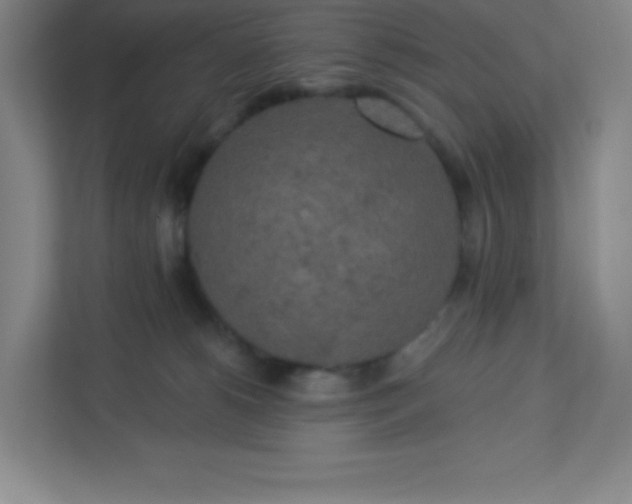 X0000113300180200909281112