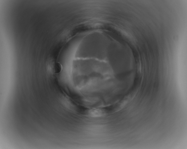 X0000113300181200909281112