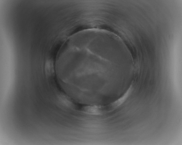 X0000113300182200909281112