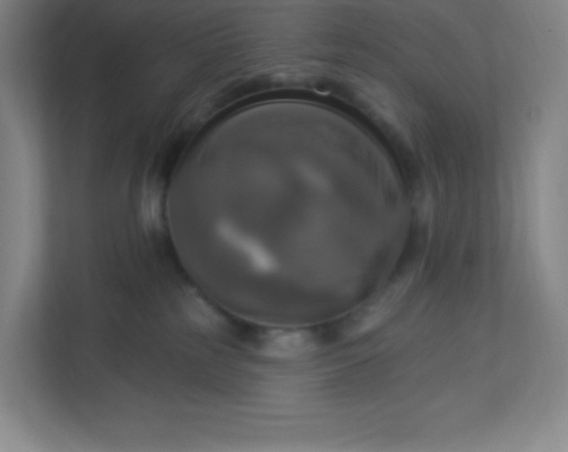 X0000113300185200909281112