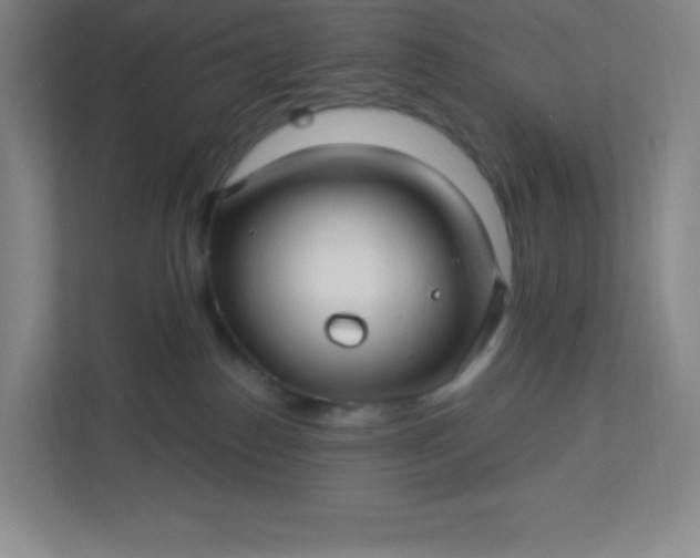 X0000113300186200909281112