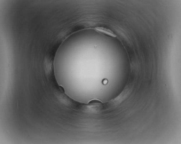 X0000113300188200909281112