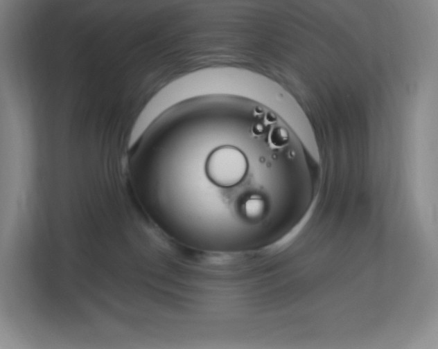 X0000113300190200909281112