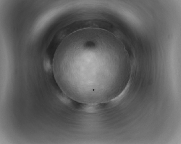 X0000113300191200909281112