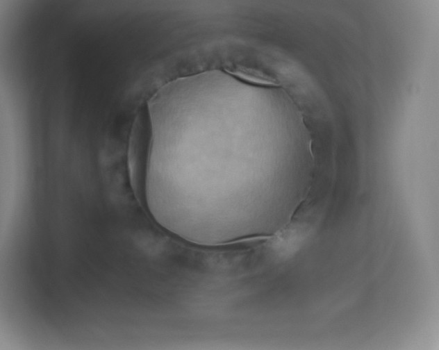 X0000113300192200909281112