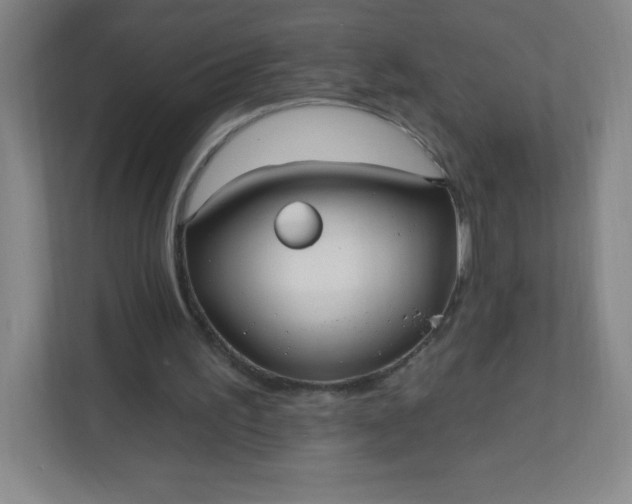 X0000113300195200909281111