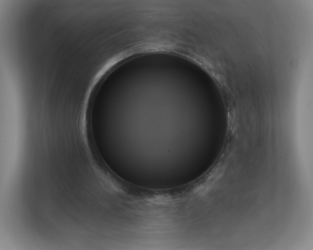 X0000113300196200909281111