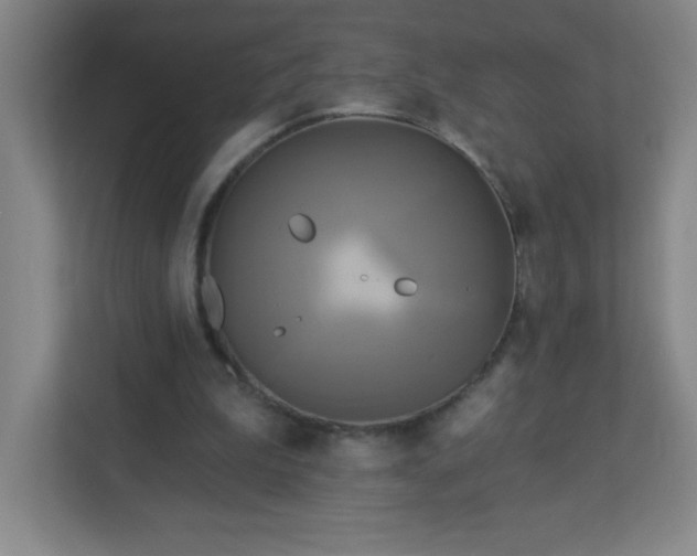 X0000113300199200909281111