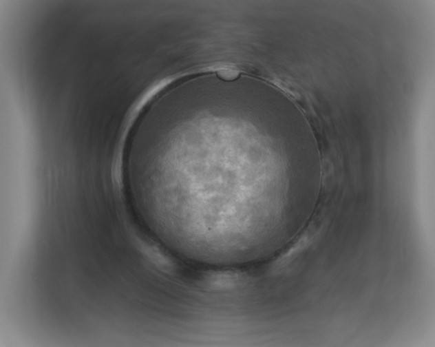 X0000113300200200909281111