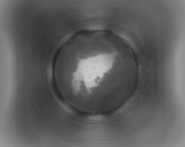 X0000113300202200909281111