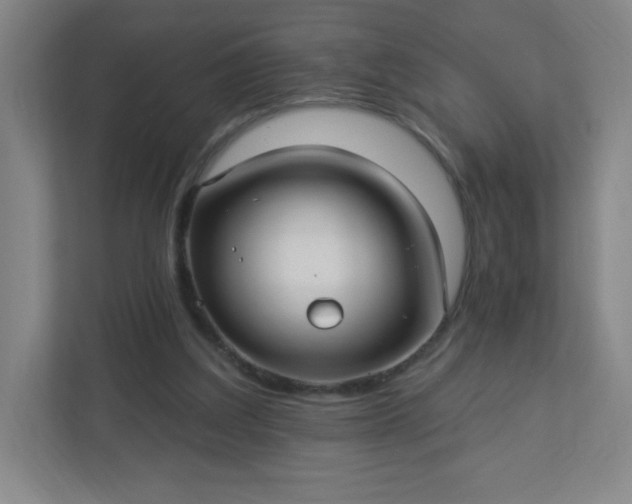 X0000113300203200909281111