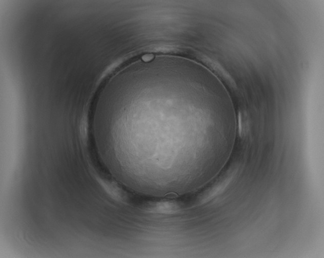 X0000113300204200909281111